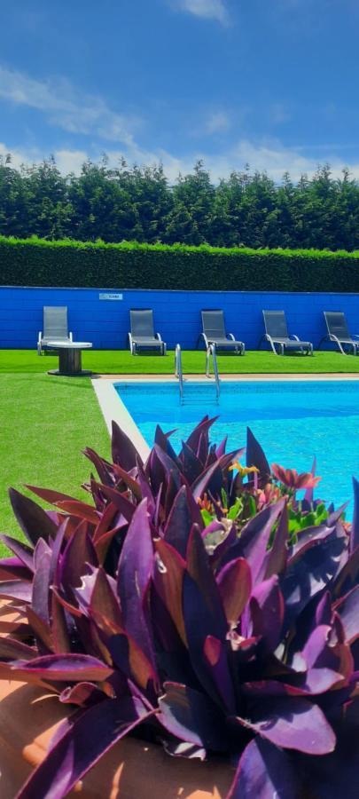 Apartamento Rurales 